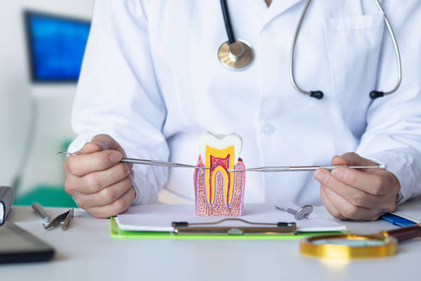 Best Holiday Emergency Dentist in Nacogdoches, TX